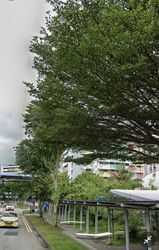 Blk 719 Khatib Spring (Yishun), HDB 3 Rooms #497757941